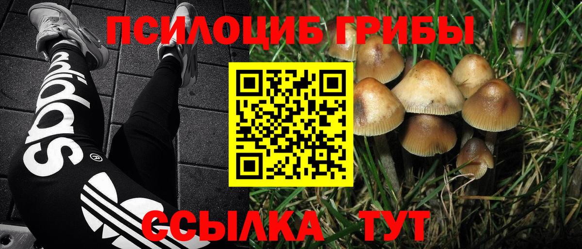 Каннабис Дальнегорск