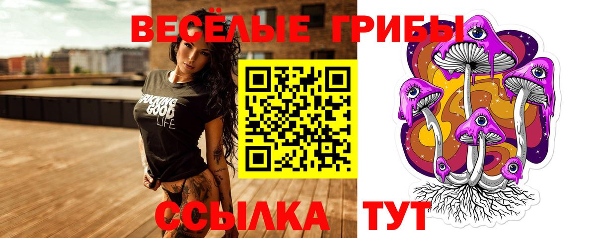 Дальнегорск  Галлюциногенные грибы ЛСД  Вход с VPN 