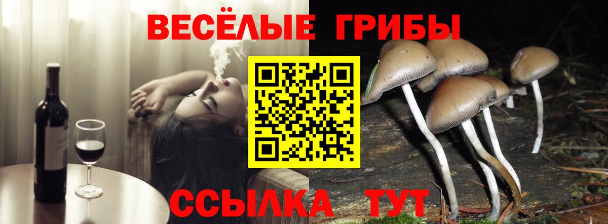 Псилоцибиновые грибы прущие грибы Дальнегорск