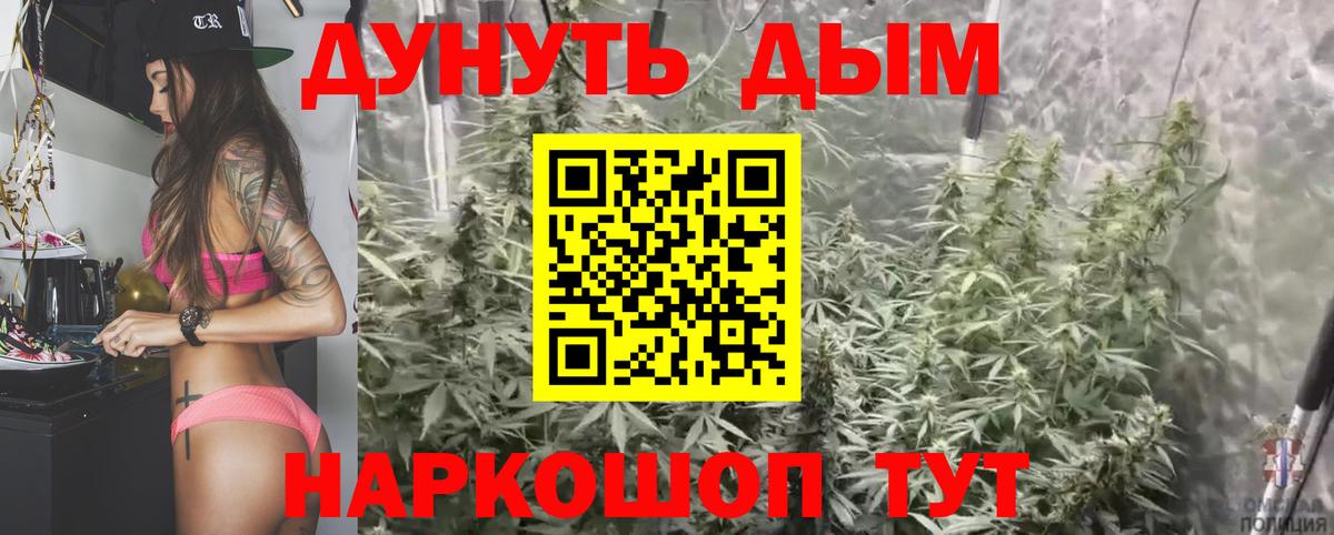Шишки марихуана гибрид  Вход с VPN  Канабис план  Дальнегорск  Конопля гибрид 